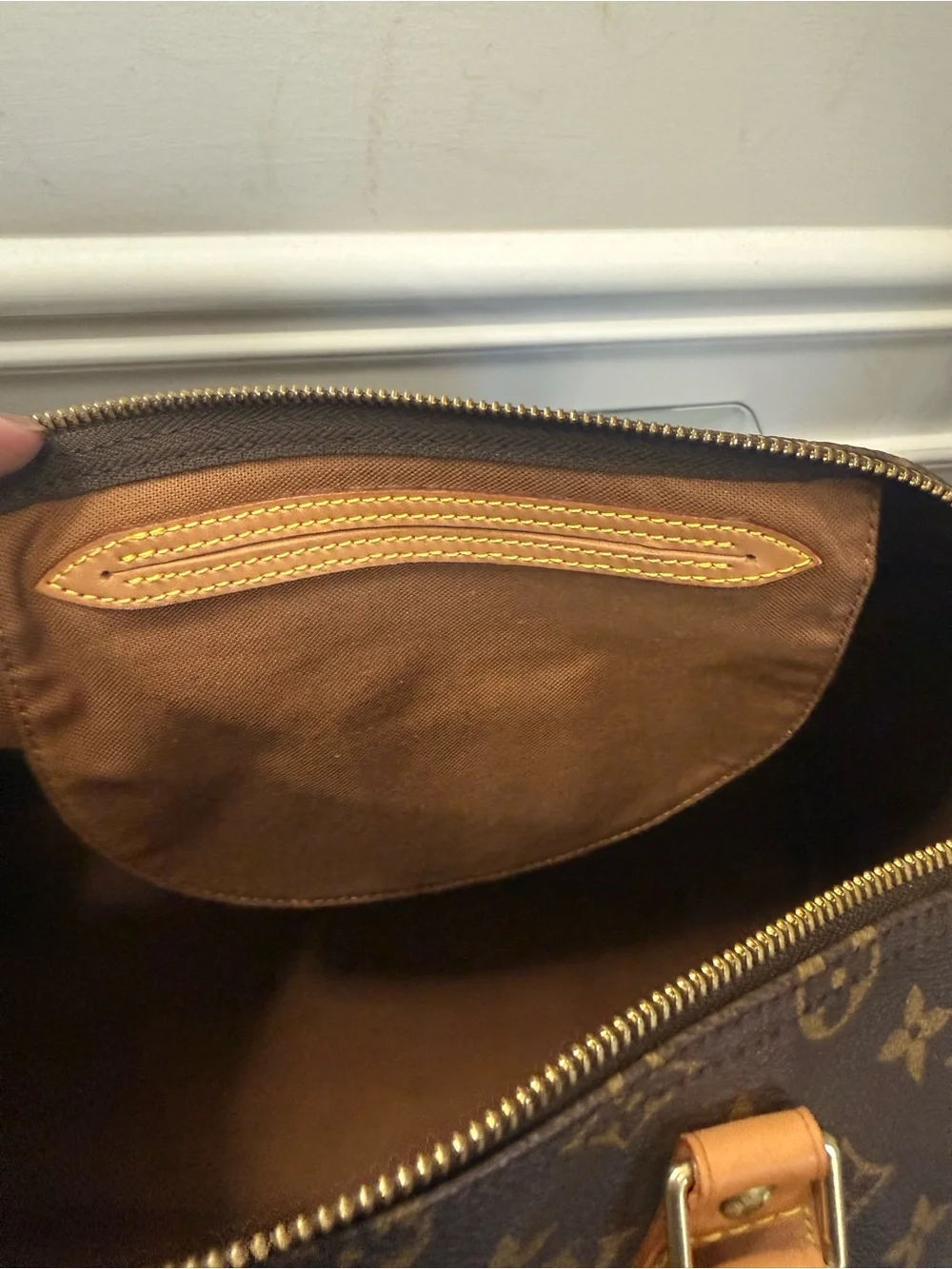 Louis Vuitton classic louis